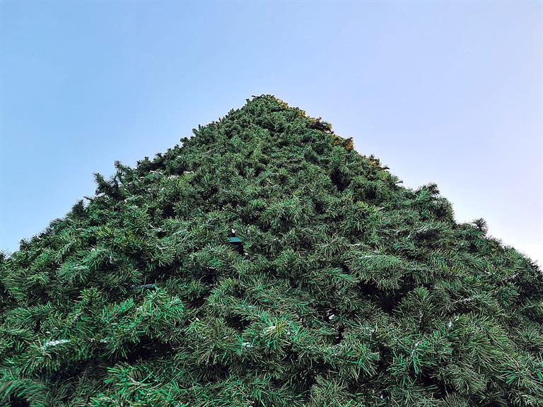 НГ Центральный (7).jpg