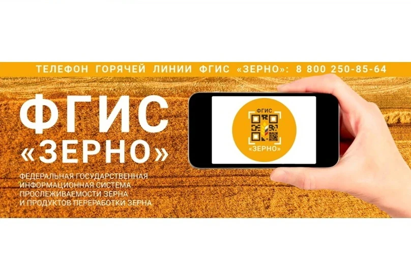 Государственным мониторингом зерна займётся «Красноярский референтный центр»