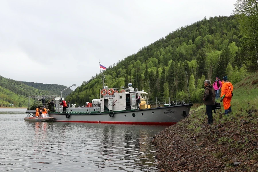 Ловись, рыбка: на Красноярском водохранилище появились искусственные нерестилища