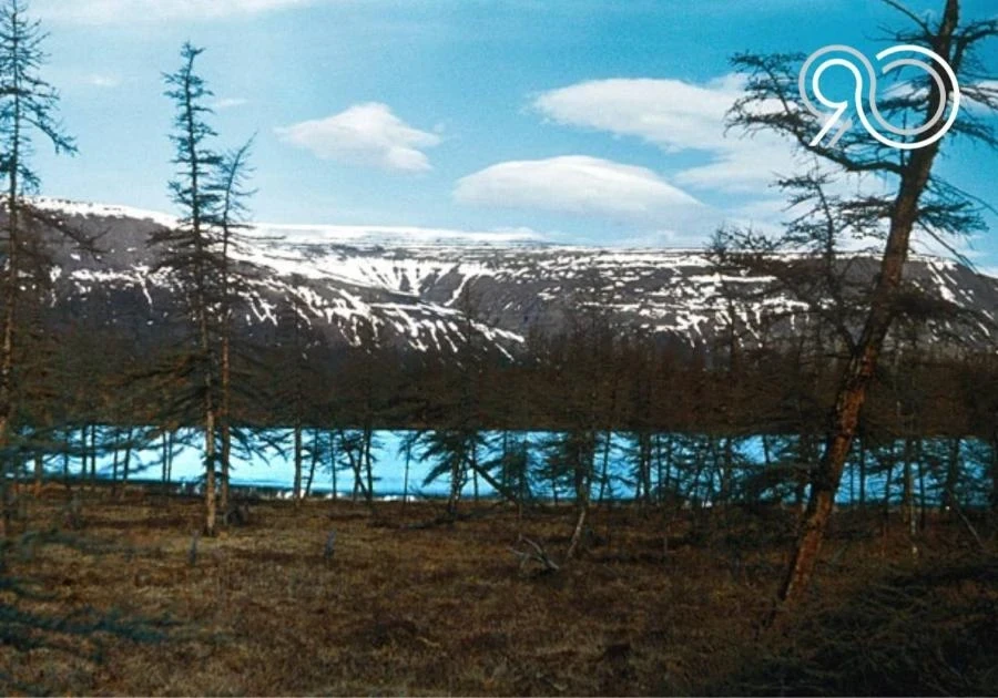 Планета Ni. Больше, чем экология