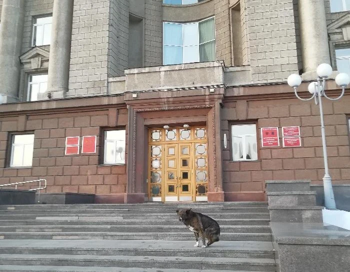 Сюжеты второго плана