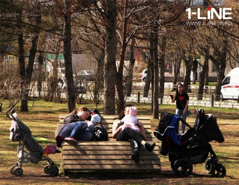 Как красноярцам получить выплаты на детей до 16 лет?