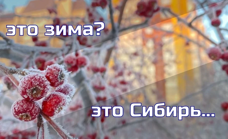 Пережить морозы: правила, чтобы морозный день был солнечным и прекрасным, но не последним