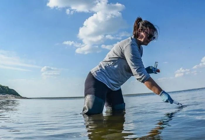 Кто ловит рыбу в мутной воде?