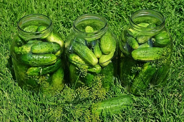 cucumbers-849268_960_720.jpg