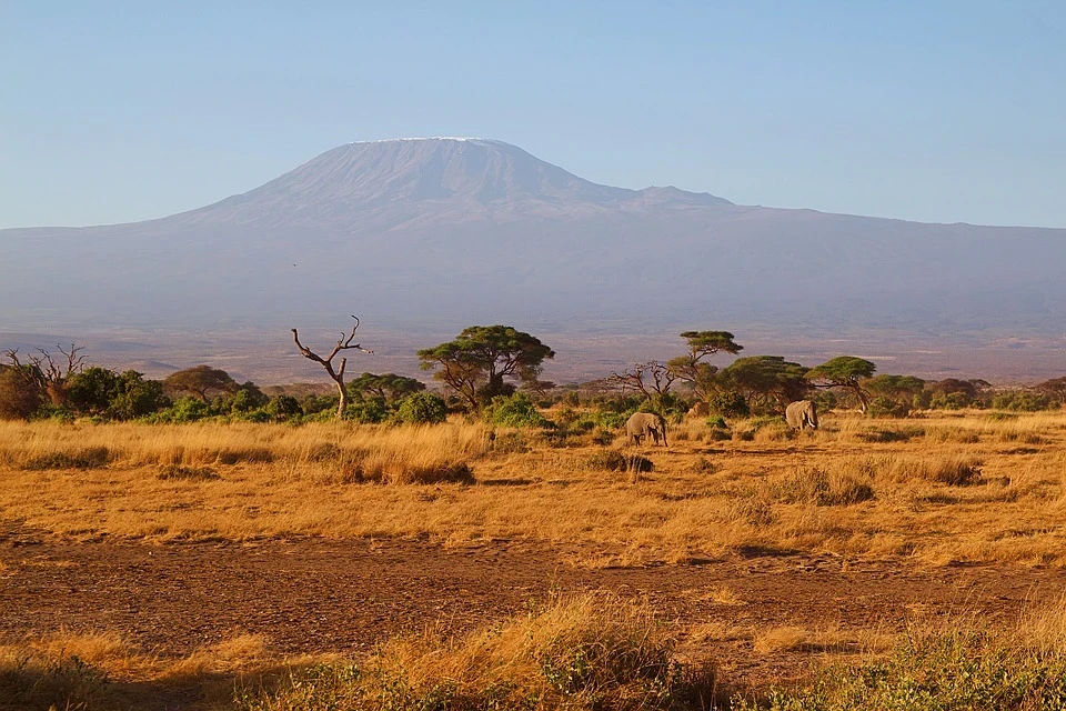 africa-4278135_960_720.jpg