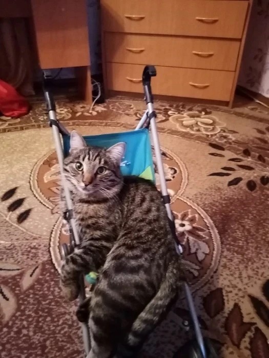 кузя.jpg