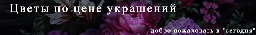 Без имени 4.png