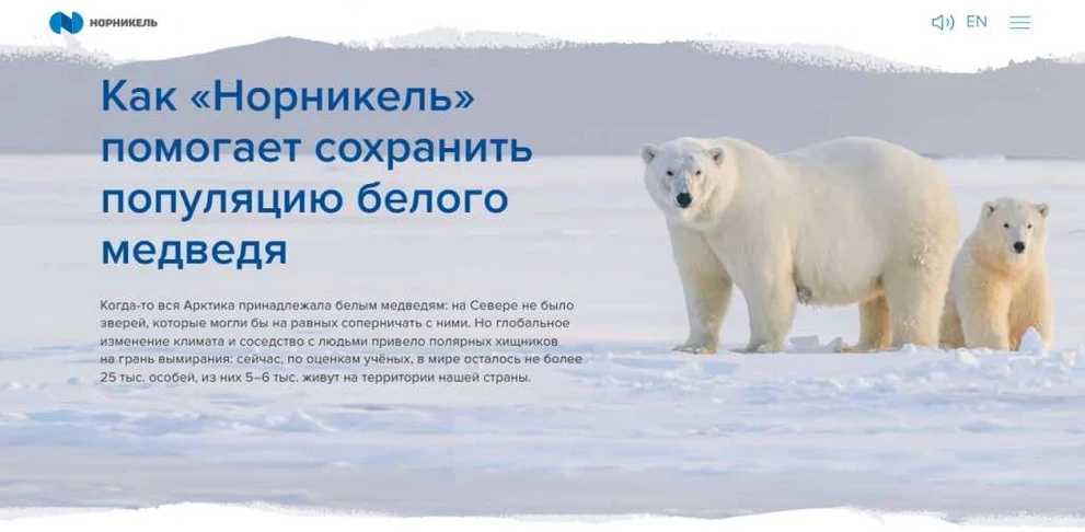 белый.jpg