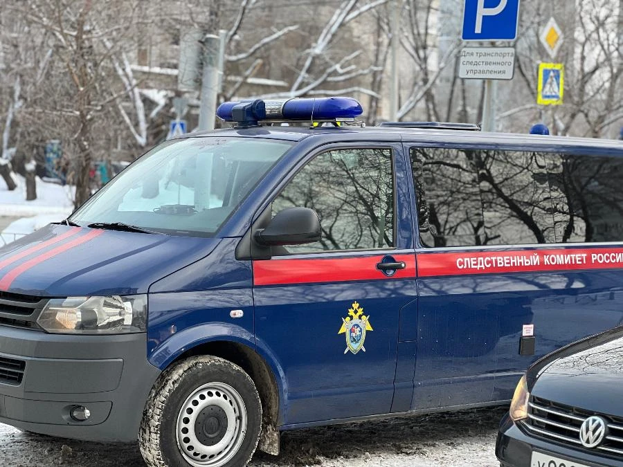 В Омской области в результате отравления угарным газом погибли брат и сестра