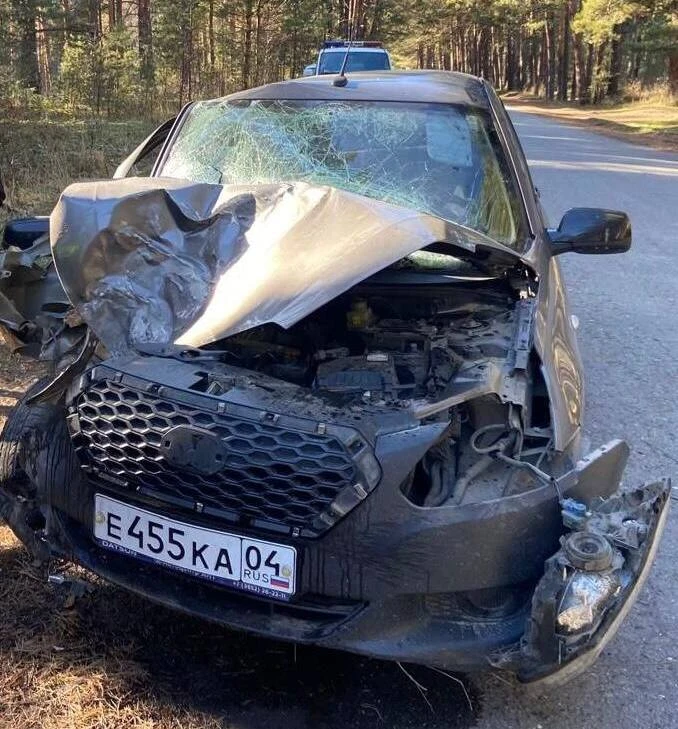 Два человека погибли на Алтае: виновнику грозит 7 лет тюрьмы