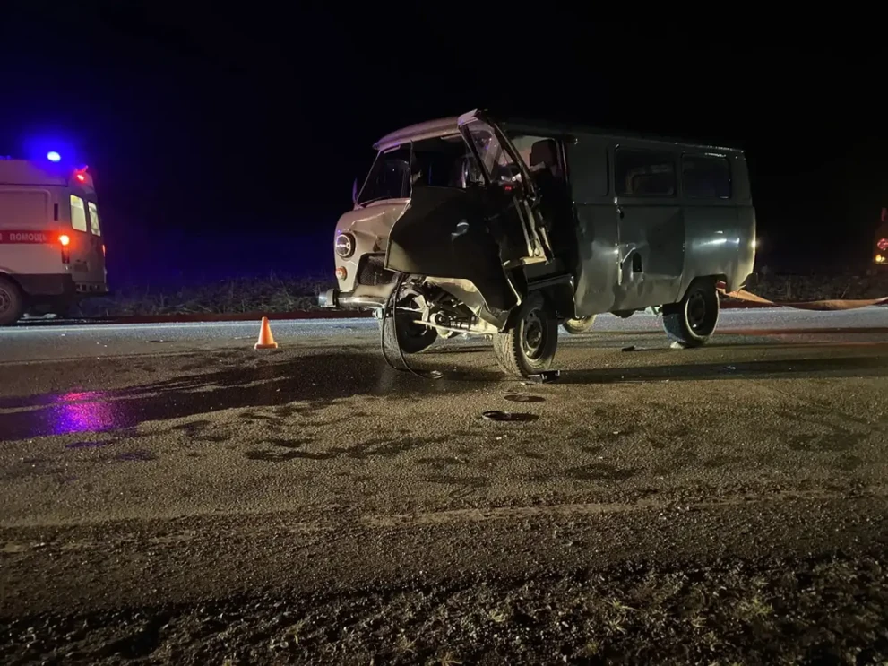 В Республике Алтай водитель УАЗа пострадал после наезда на корову
