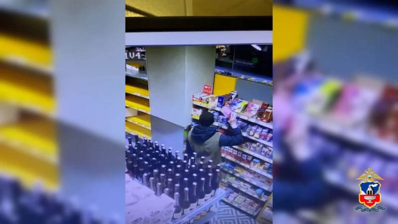 Воровской тур по Алтаю закончился арестом  