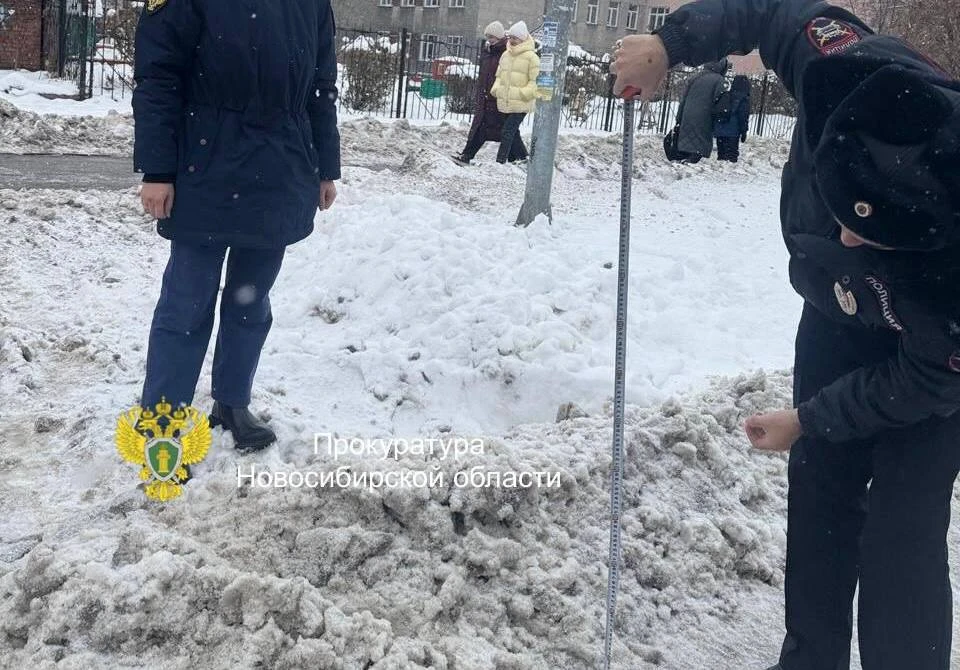 Прокурор внес представление мэру Новосибирска из-за плохой уборки улиц города 