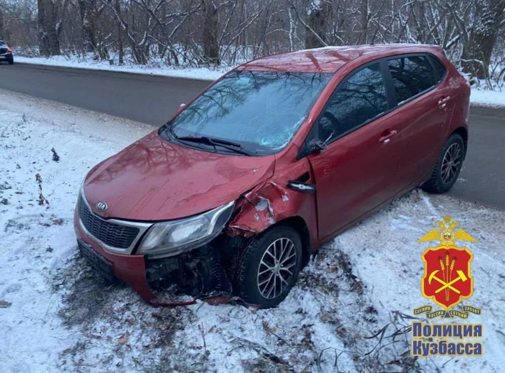 9-летняя девочка погибла в Кемерове: возбуждено уголовное дело 