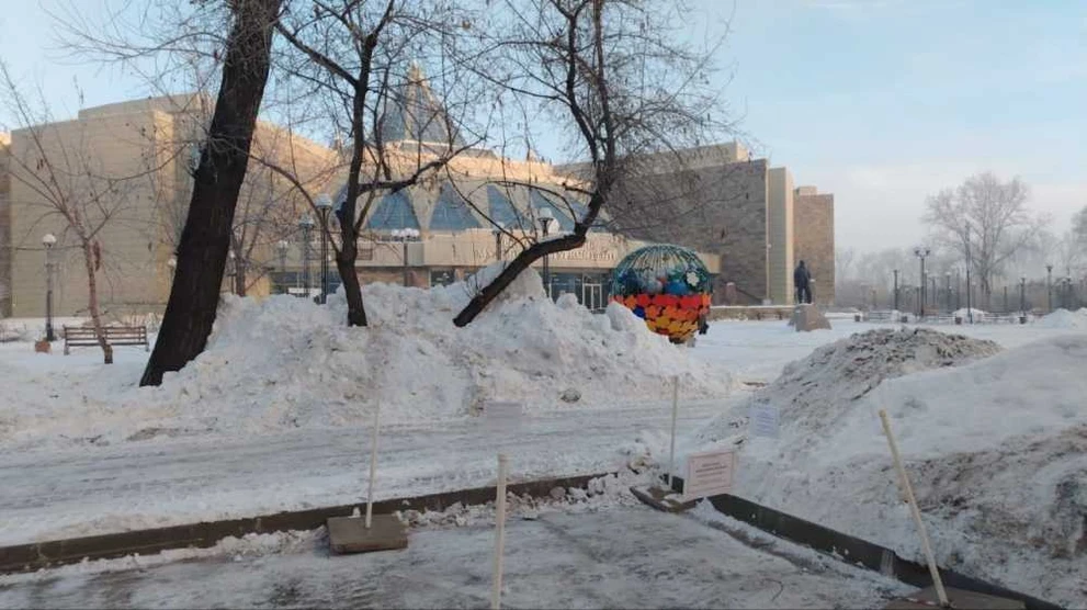 В Абакане стартовал сбор новогодних елок для утилизации