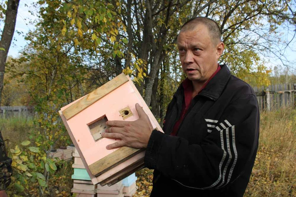 Житель Томской области наладил производство пчелопакетов 