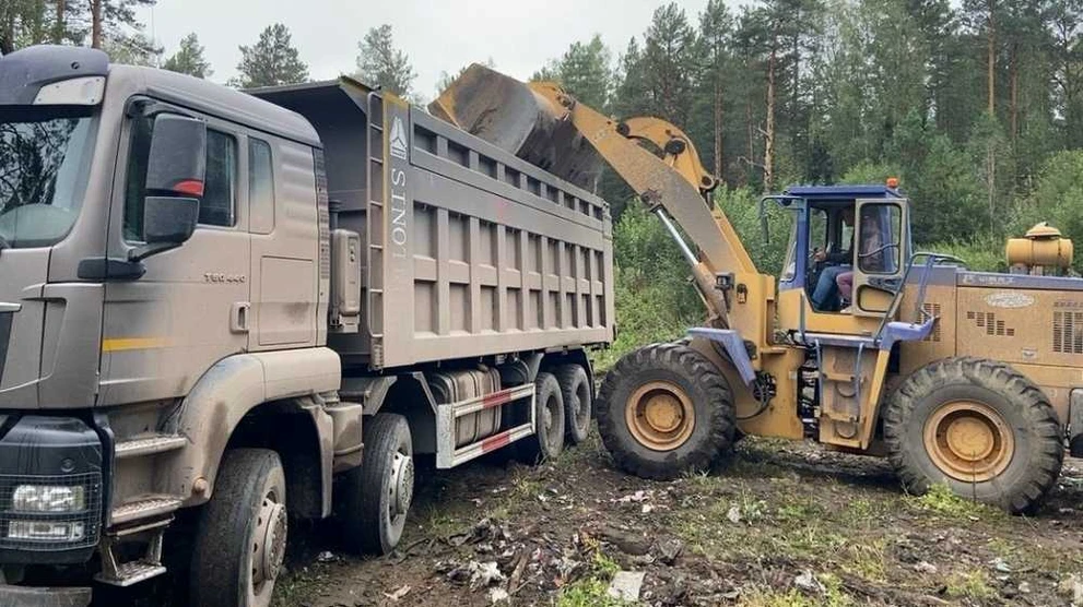 В Красноярском крае избавят леса от мусора