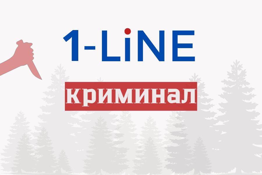 В Туве жительницу Кызыла задержали за удар ножом в грудь на отдыхе