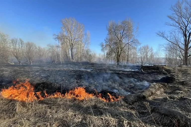 На большей части Красноярского края объявлен пожароопасный сезон