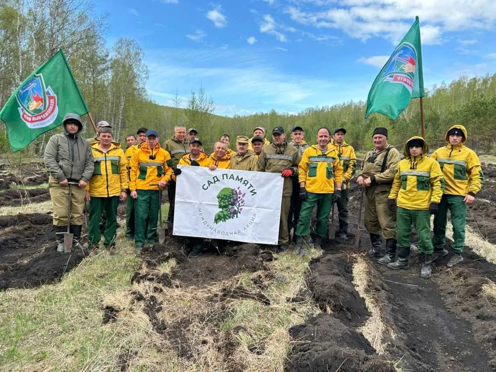 В память о героях ВОВ лесопожарные Красноярского края высадили 6000 елей