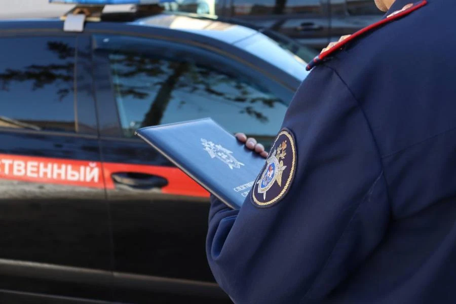 В Иркутске возбуждены уголовные дела в отношении двух поджигателей