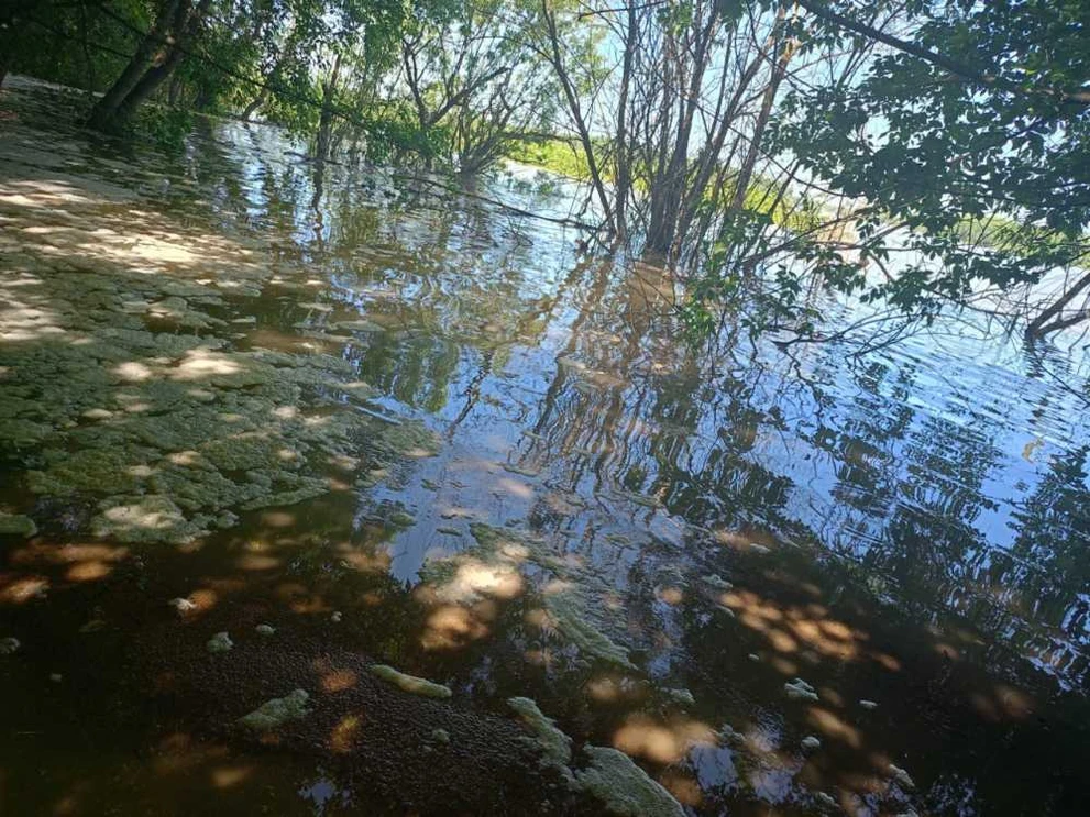 В Барнауле нашли виновного в сбросе грязных стоков в Обь 