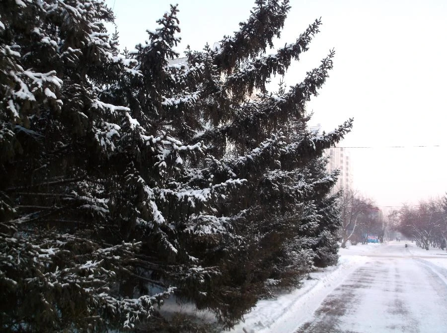 Прогноз погоды в Красноярске на 14 февраля