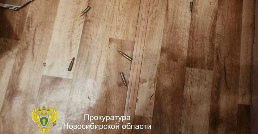 Жителя Новосибирской области будут судить за незаконное хранение боеприпасов