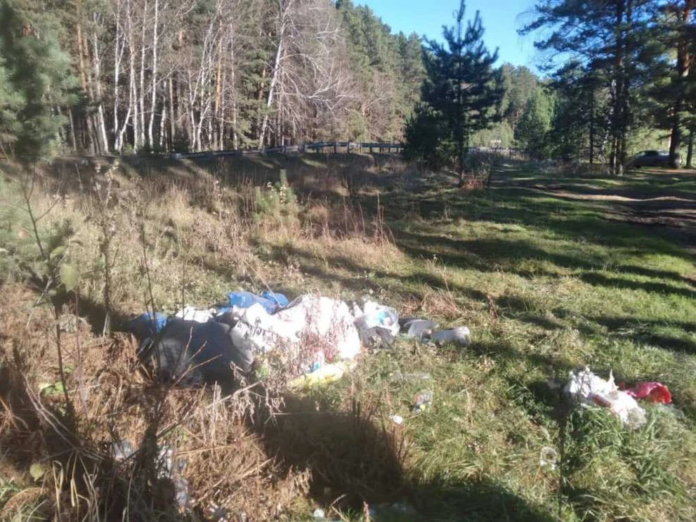 В алтайском селе прокуратура нашла мусорную свалку 