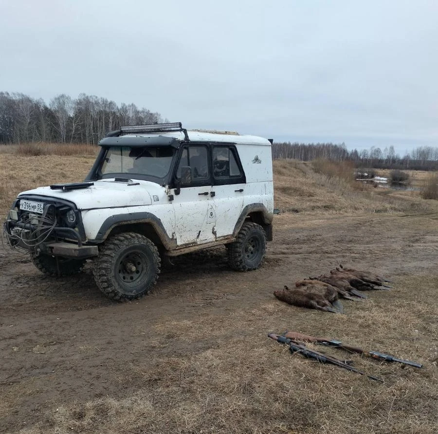 В Омской области отстрел 7 бобров оценили как ущерб в 42 тысячи рублей