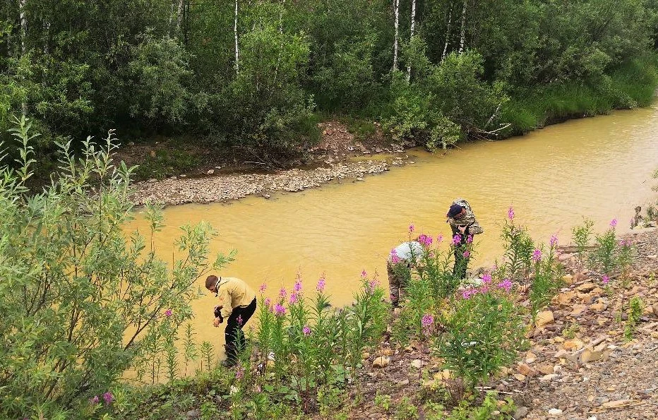 Артель Старателей заплатила 2,9 млн руб. за загрязнение реки в Красноярском крае