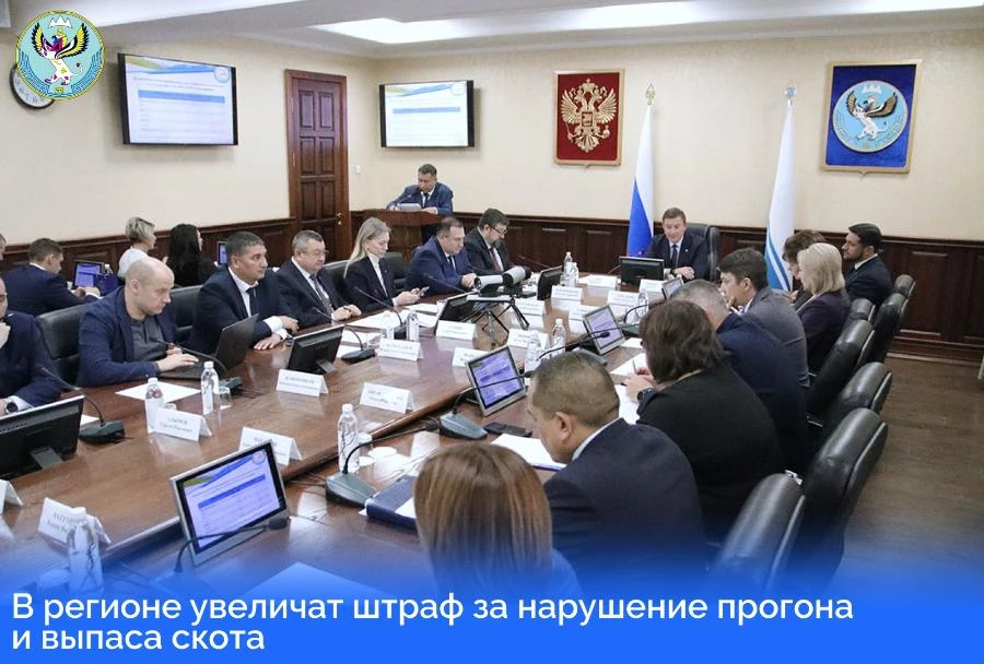 Правительство Республики Алтай борется со скотом на дорогах новыми штрафами