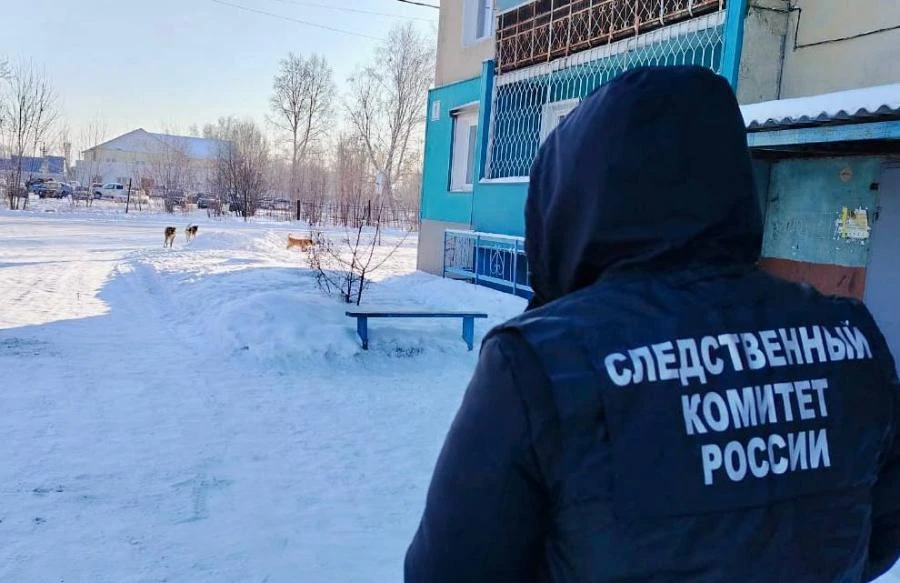 В Иркутской области продолжаются нападения безнадзорных собак на людей