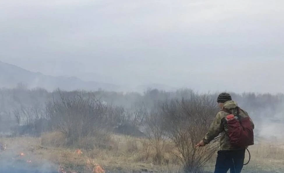 На территории Республики Тыва действуют 9 лесных пожаров 