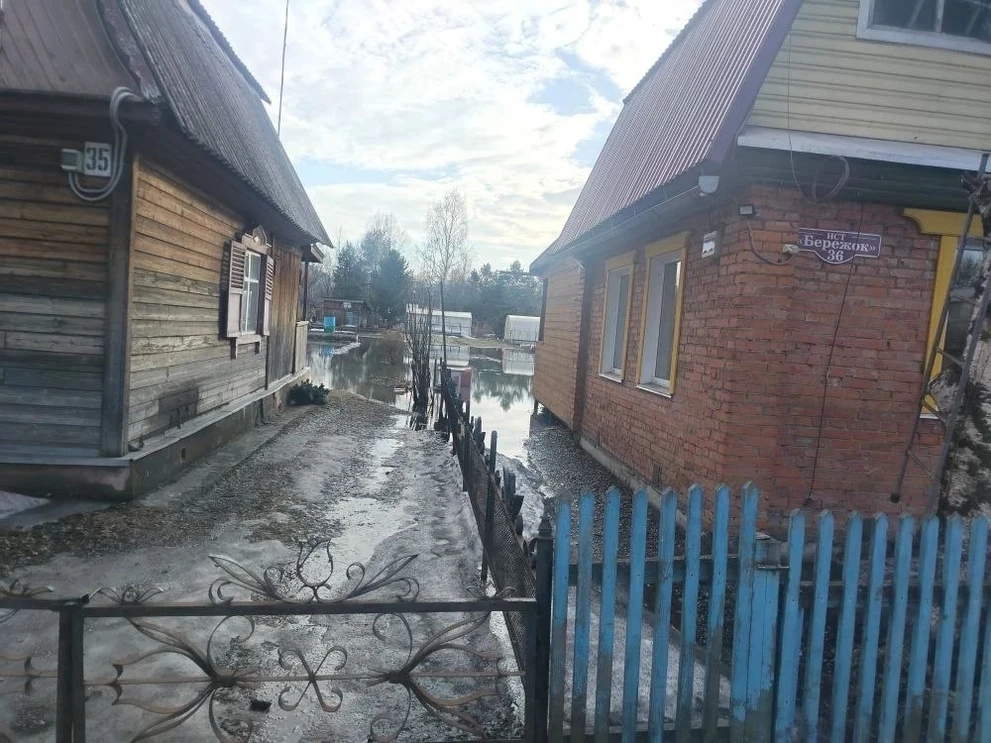 В садовых товариществах Кузбасса бедствие с водой