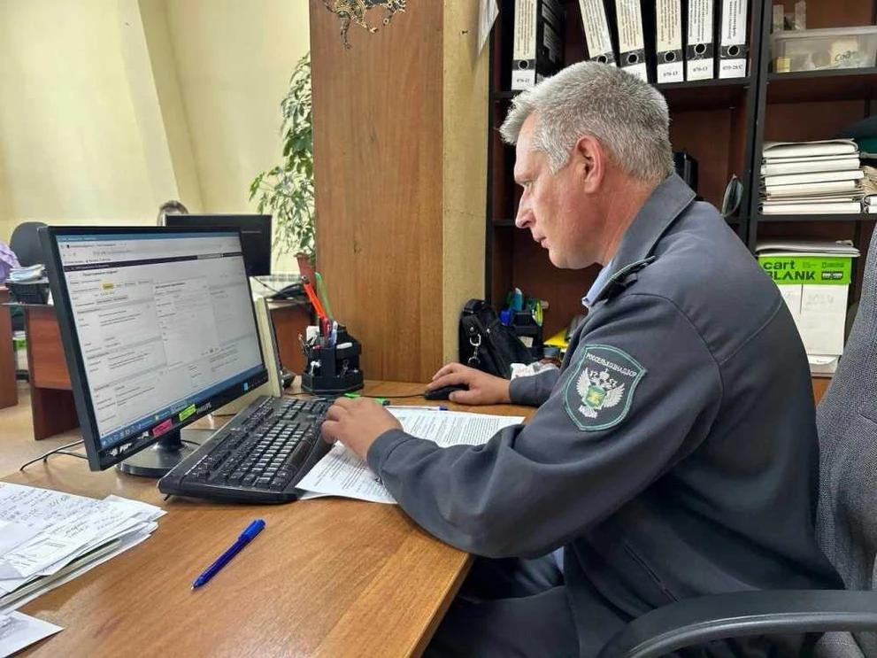 В интернет-магазине красноярского ИП продавали «1000 чертей» и «33 поросенка»