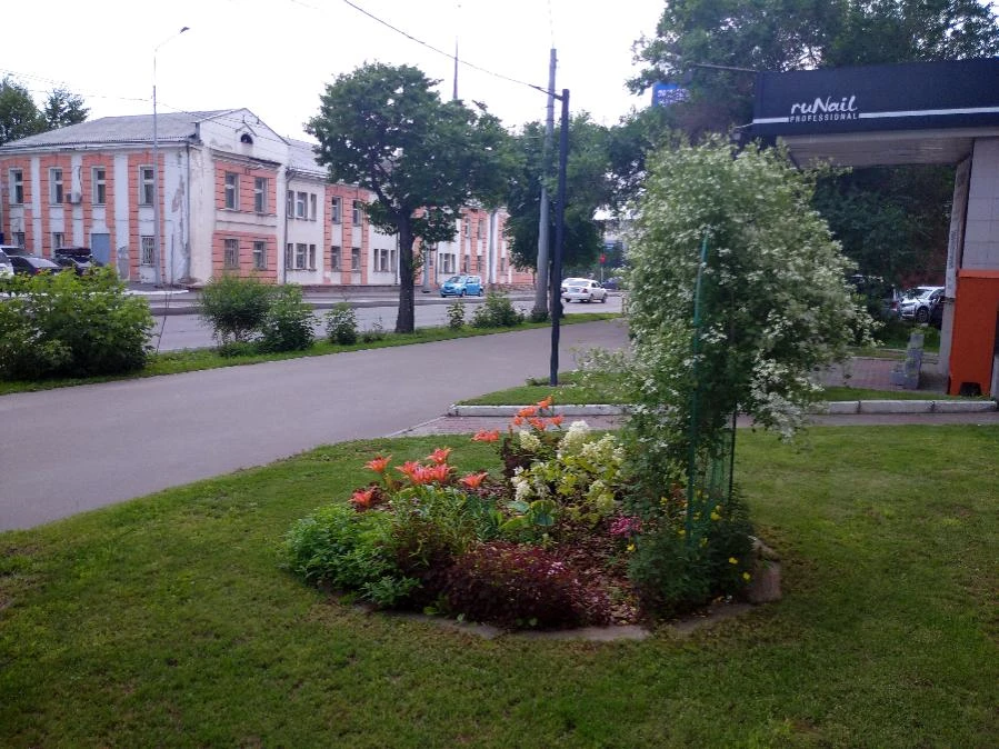 Прогноз погоды в Красноярске на 11 июля