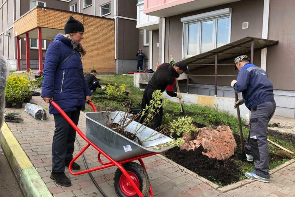 В Красноярске 50 победителей получат 100 тысяч рублей для озеленения дворов 
