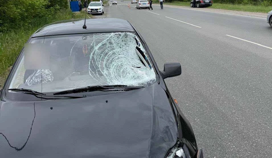 В Омской области в результате ДТП погибла женщина