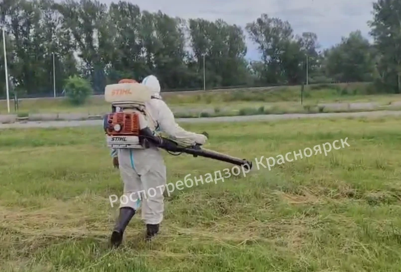 В Красноярском крае территорию фестиваля «МИР Сибири» обработали от клещей 
