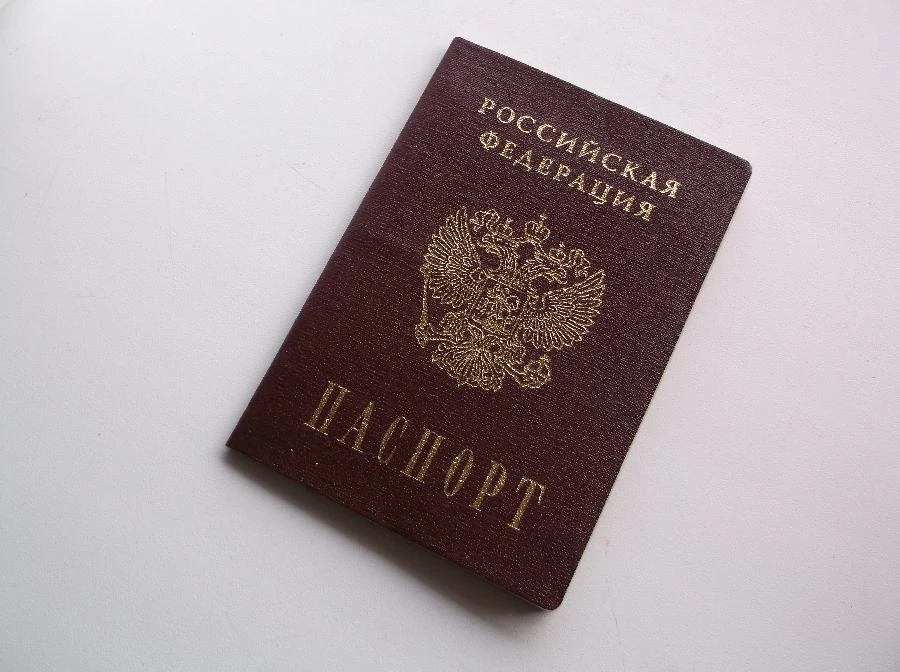 МЫ ВЫБИРАЕМ. С каким документом можно идти голосовать?