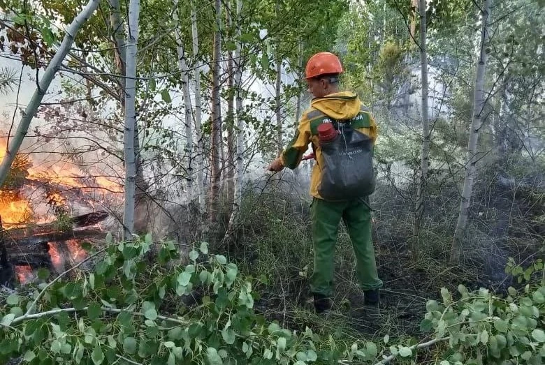 В Красноярском крае лесной пожар заметил проезжающий мимо водитель