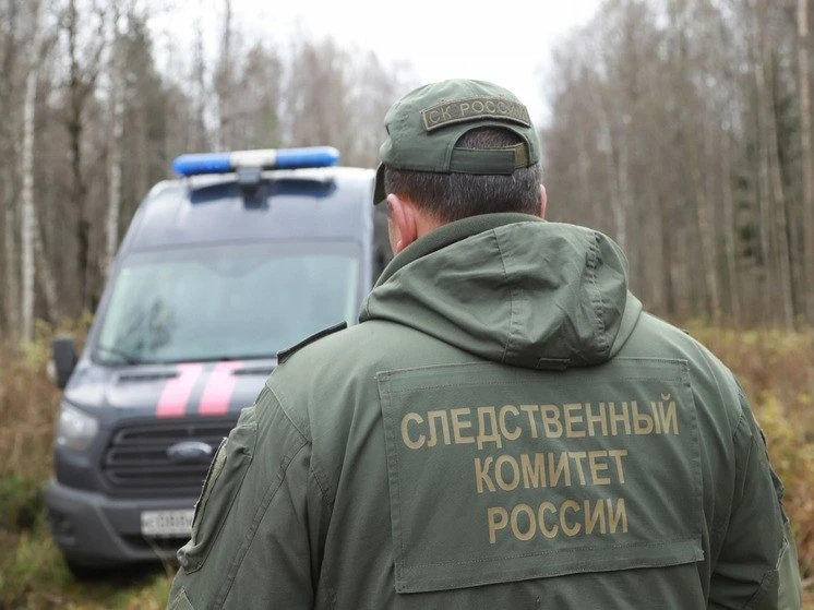 В Омской области женщину подозревают в убийстве бывшего супруга 