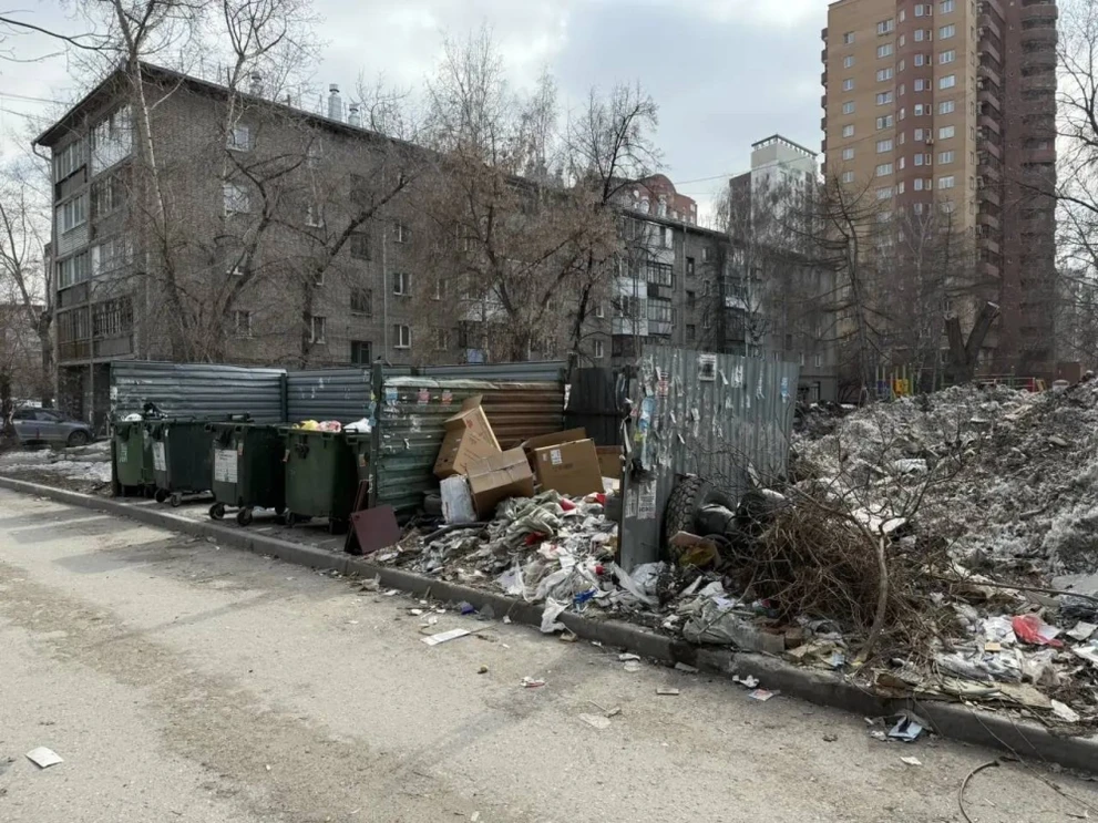 Прокуратура потребовала навести порядок с мусором в Новосибирске Прокуратура потребовала навести порядок с мусором в Новосибирске