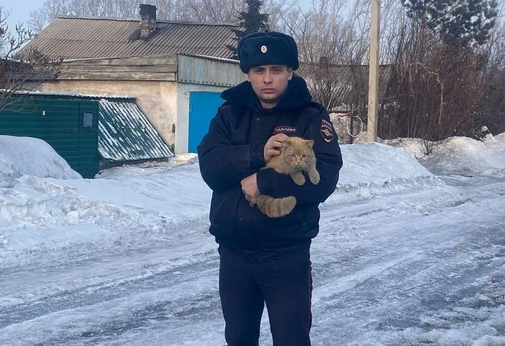 В Кузбассе рассказали о полицейском спасшем кота 