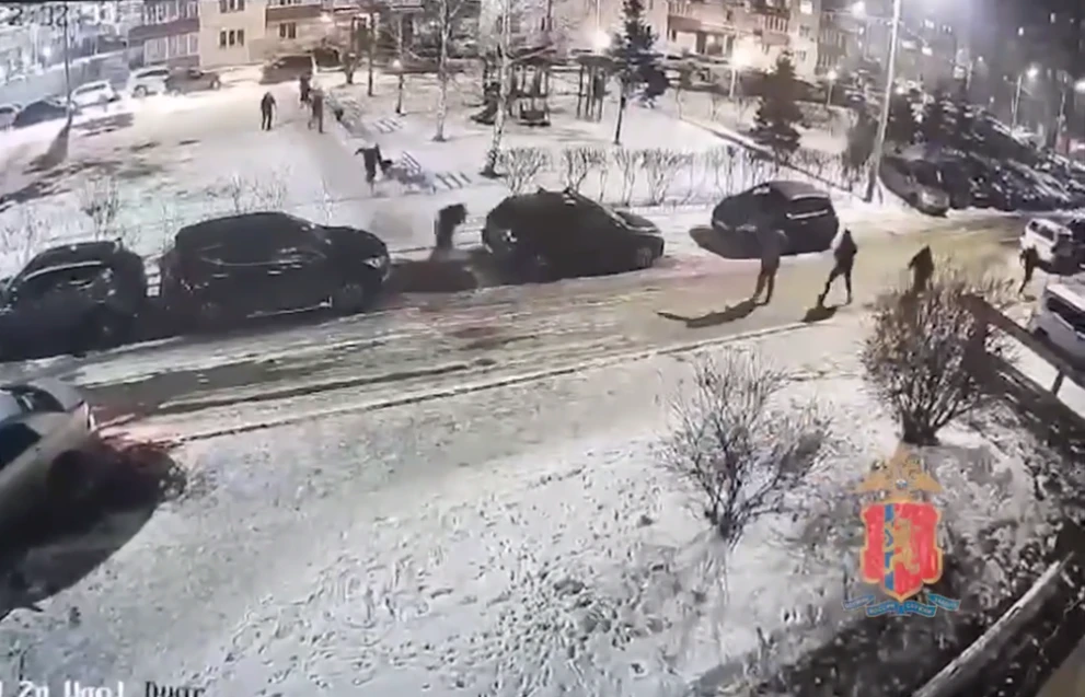 В Красноярске после драки на Авиаторов возбудили уголовное дело