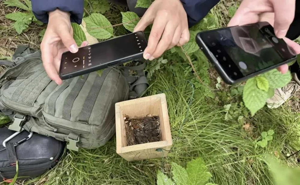 Студенты из Мурманска познакомились с научным волонтерством на Красноярских Столбах 