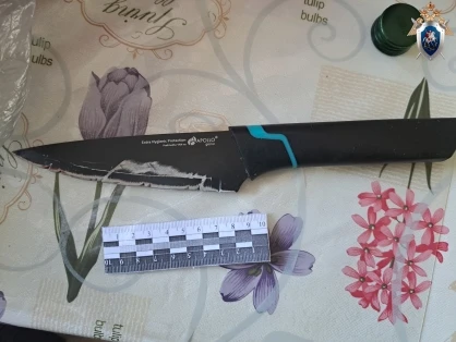 Жителю Алтая дали 9 лет тюрьмы за убийство приятеля 
