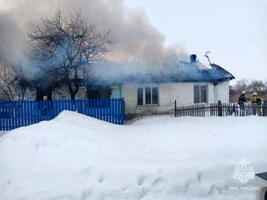 На пожаре в Омской области бабушка не смогла спасти внука 